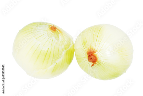 Onion