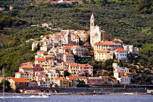 cervo from the sea photo