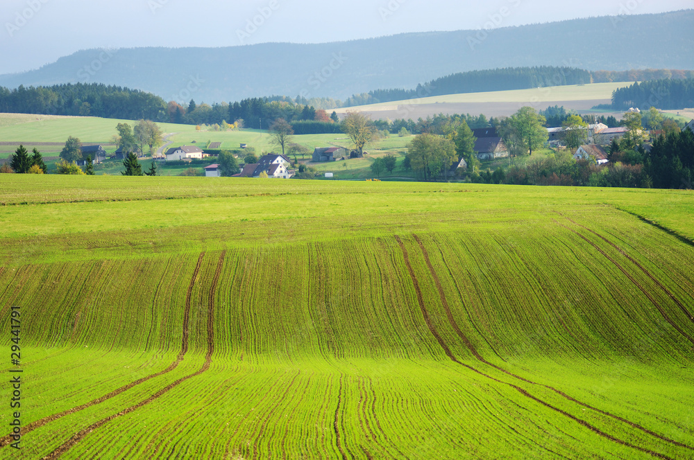 Agricultural view on fields and village