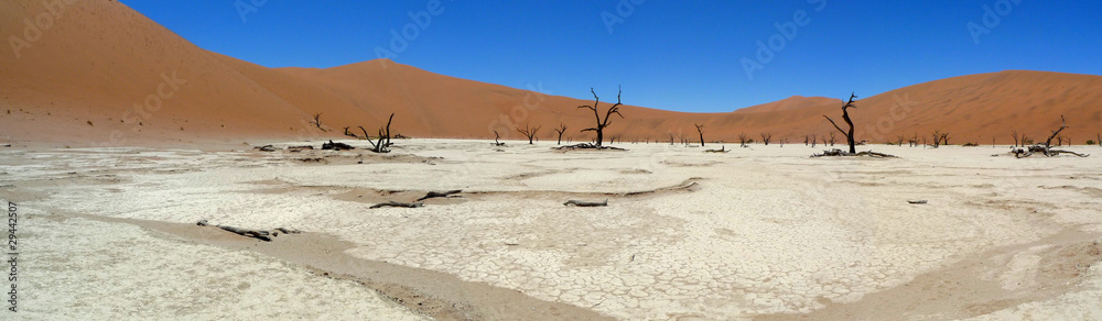 Dead vlei