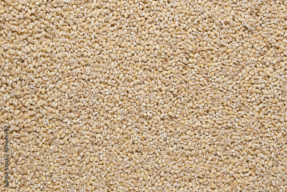 Barley Grains (Hordeum vulgare) Barley Grains (Hordeum vulgare)