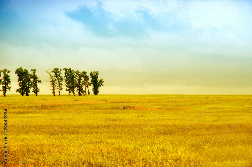 Obraz premium Fields