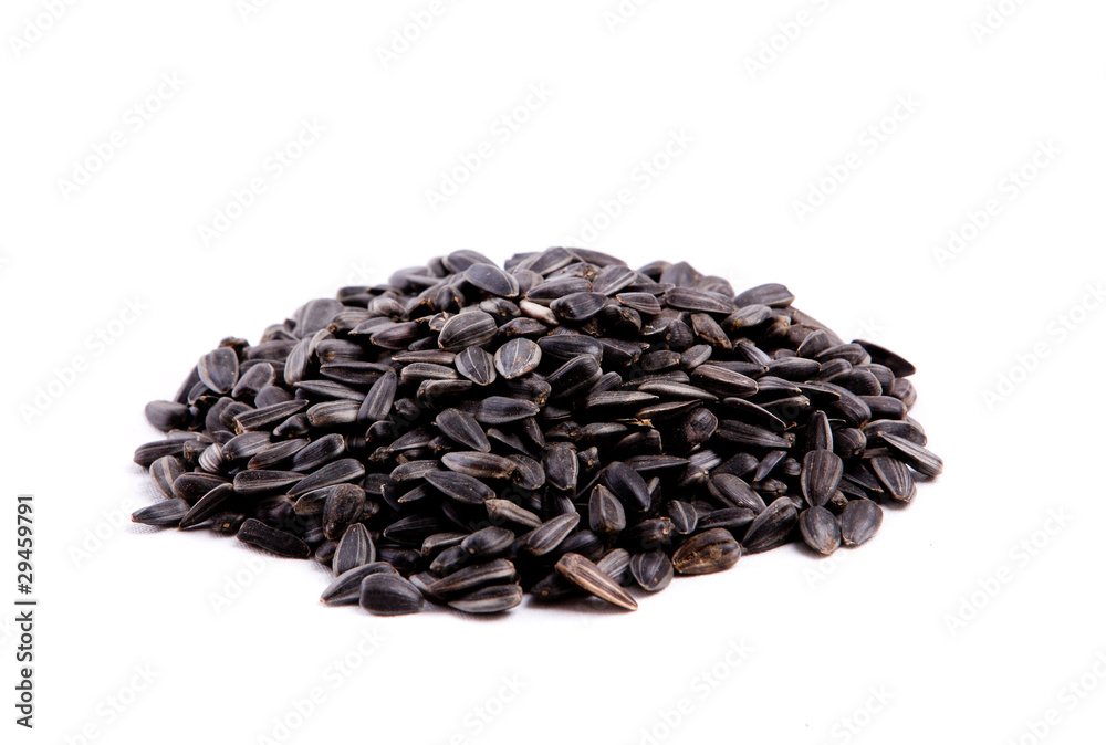 seed sunflower seed sunflower