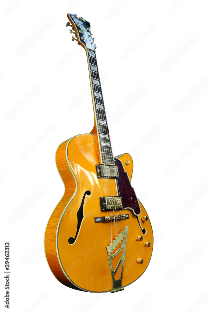 Obraz premium guitar