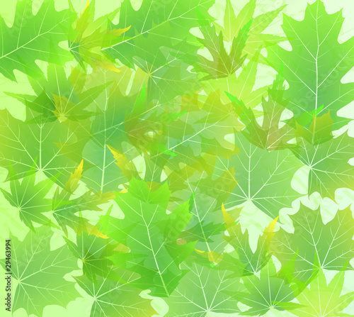 [V] foliage background / a