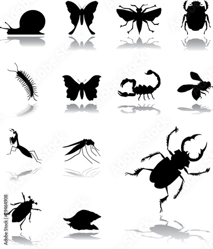 Set icons - 145. Insects