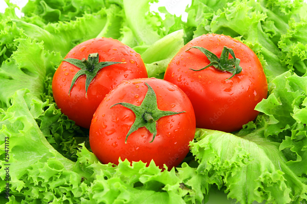 red tomato vegetables on the green salad background red tomato vegetables on the green salad background