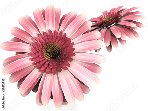les fleurs roses