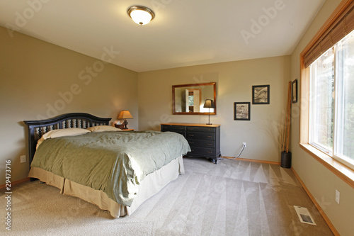 Bedroom with green walls and black furniture