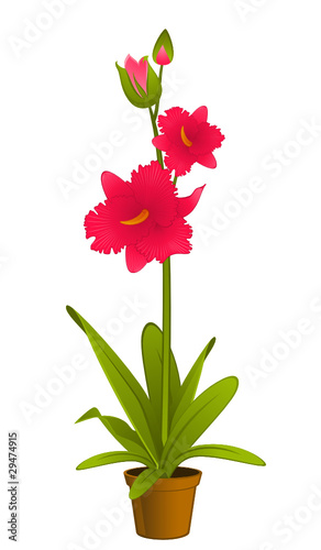 Vector beautiful orchid in flowerpot