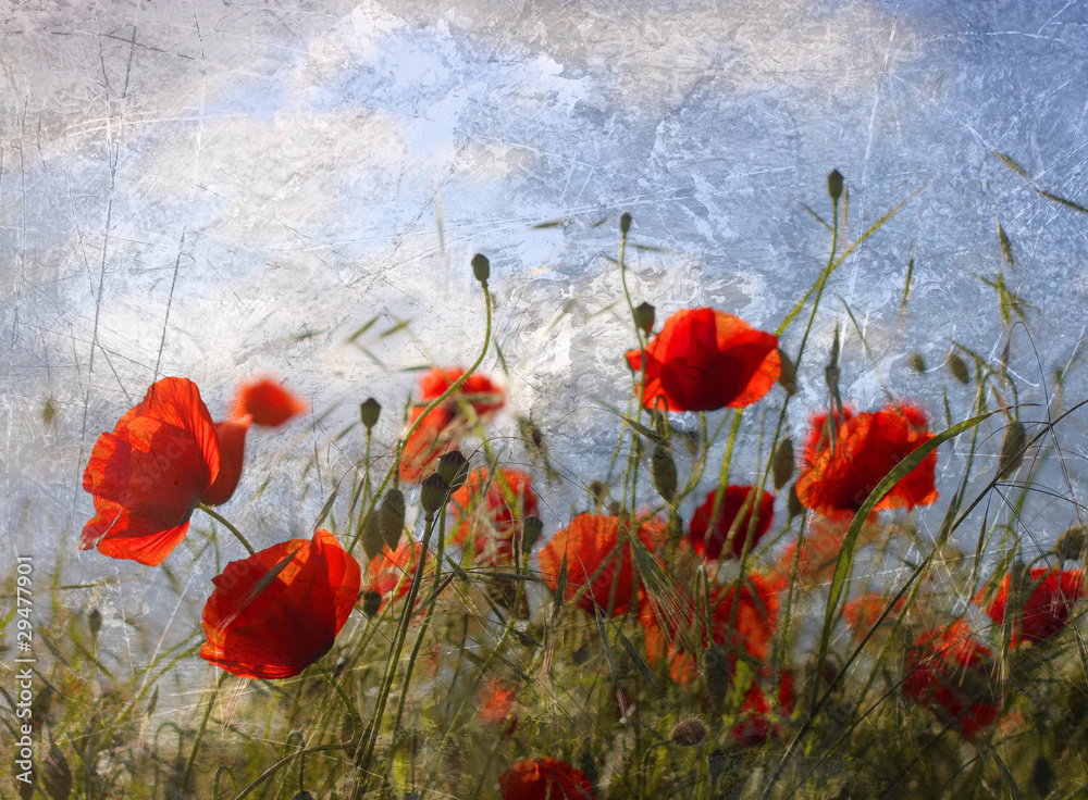 Naklejka premium mohnblumen nostalgisch