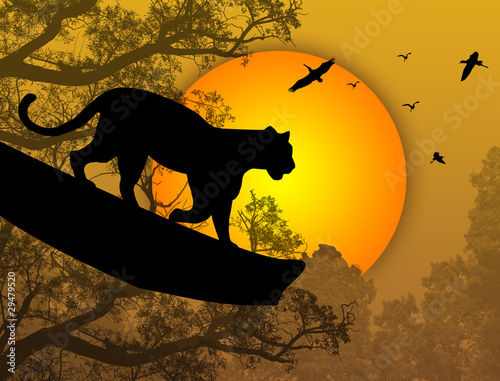 Panther on a tree