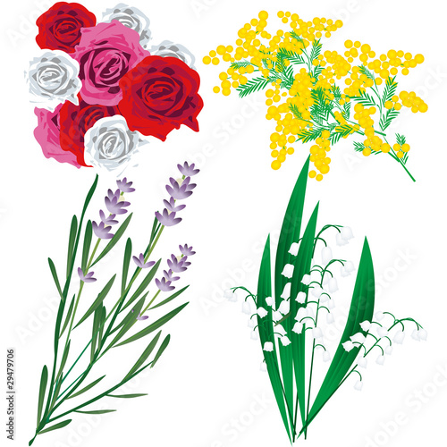fiori
