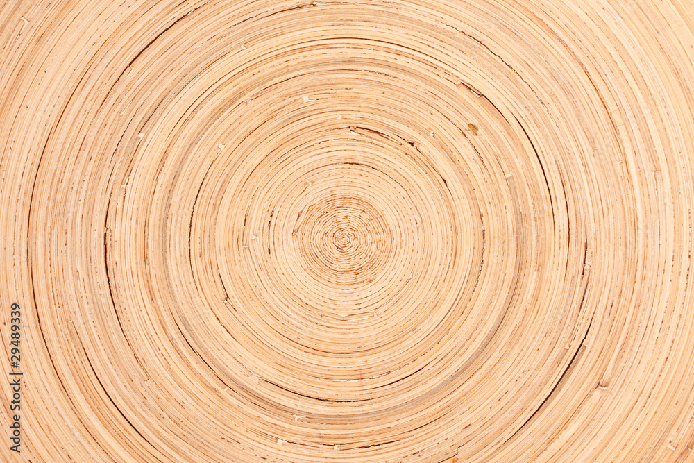 concentric plate concentric plate