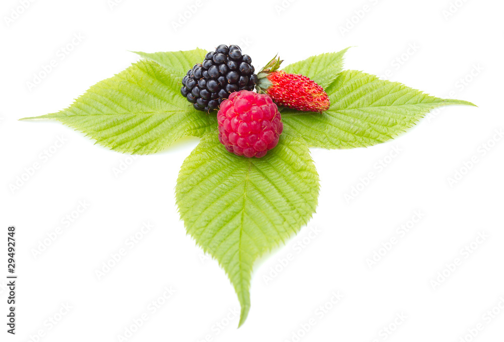 strawberry, blackberry and raspberry on leaf strawberry, blackberry and raspberry on leaf