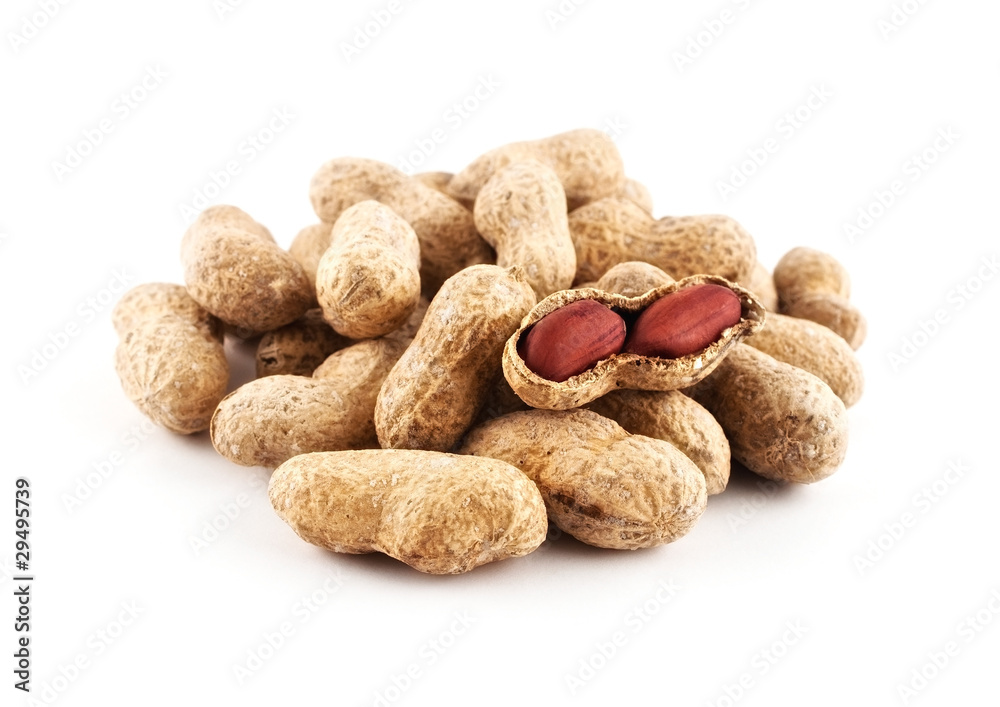 Peanut