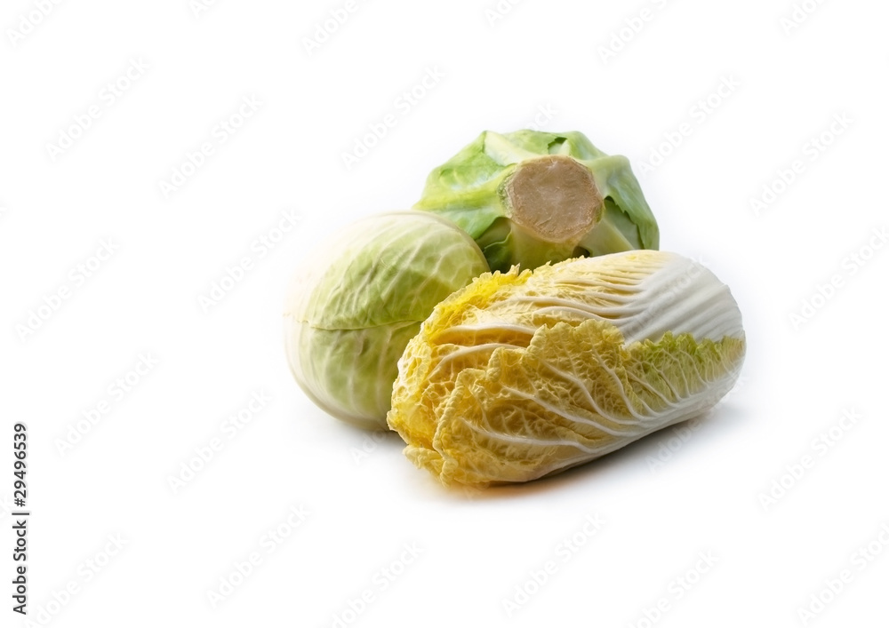 Cabbage