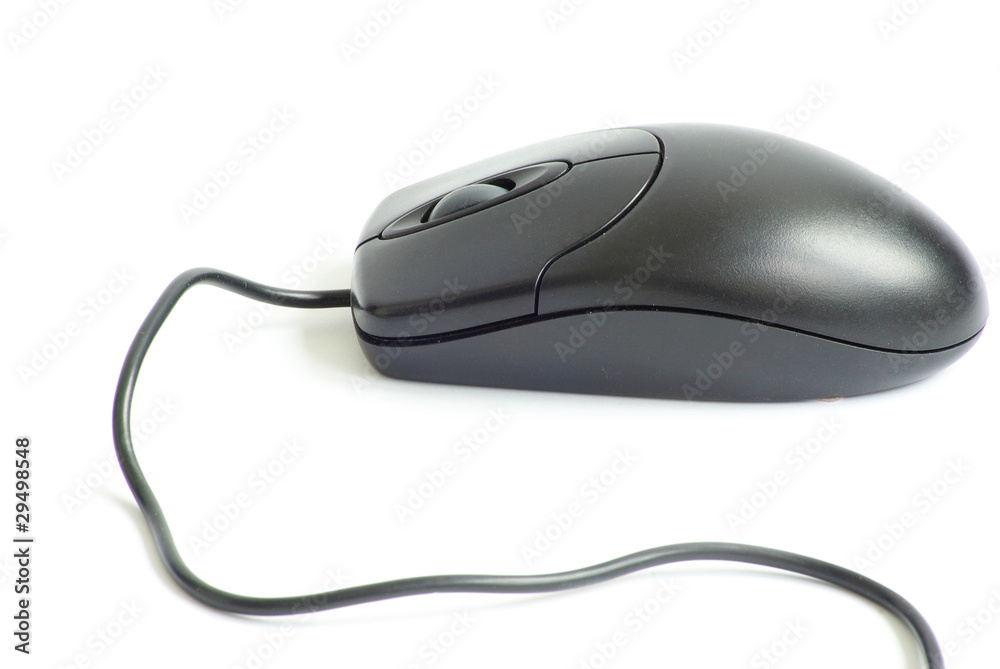 computer mouse computer mouse