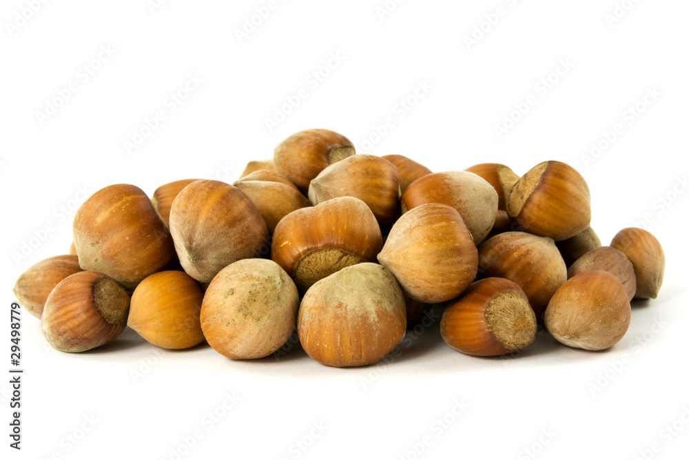 pile of hazelnuts isolated on white background pile of hazelnuts isolated on white background