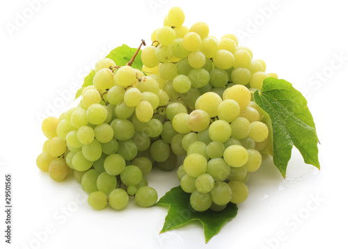 Fresh grape fuits isolated on white background