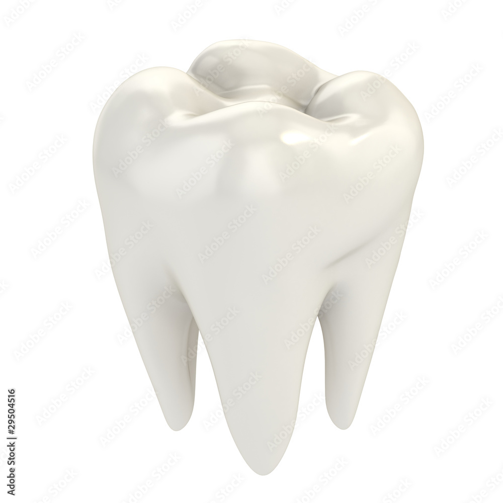 isolated tooth 3d illustration isolated tooth 3d illustration