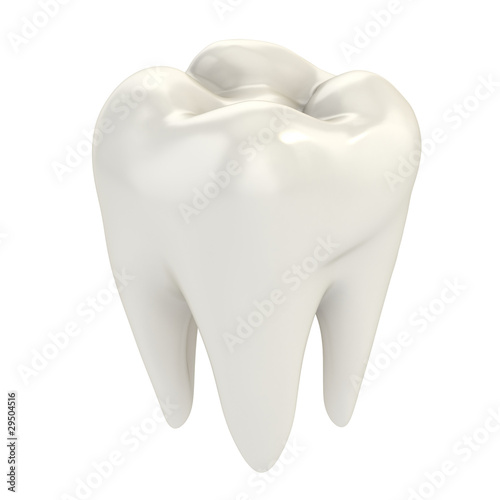 isolated tooth 3d illustration photo