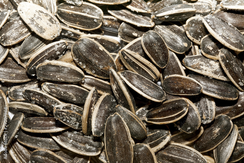 Sunflower seeds Sunflower seeds