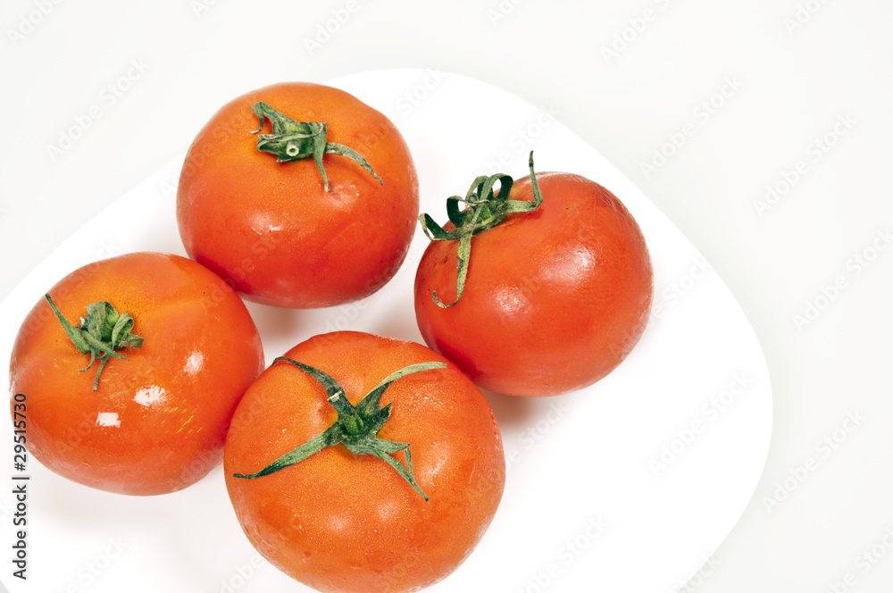 Tomatoes Tomatoes