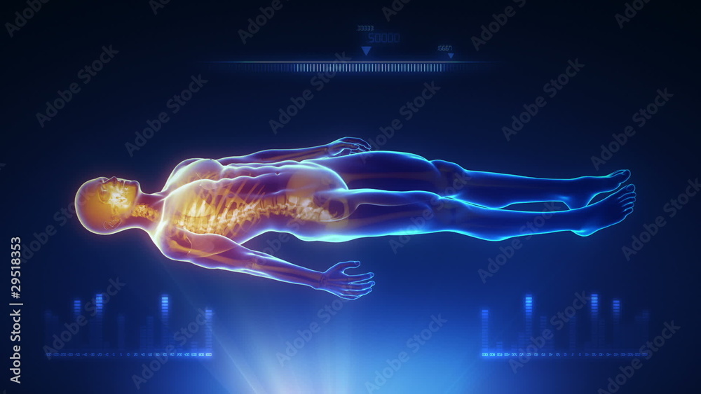 Human body x-ray scan with interface
