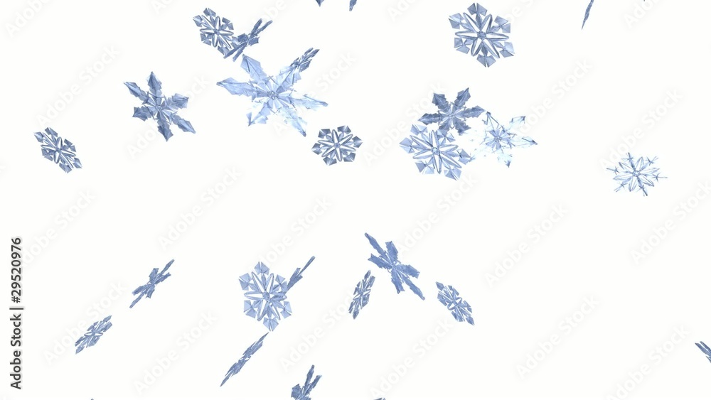 雪の結晶