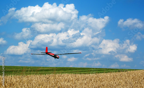 Glider landing on field airport in beautiful summer weather.