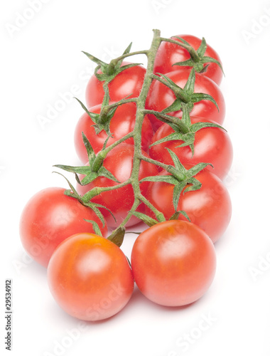 Cherry tomatoes on the branch