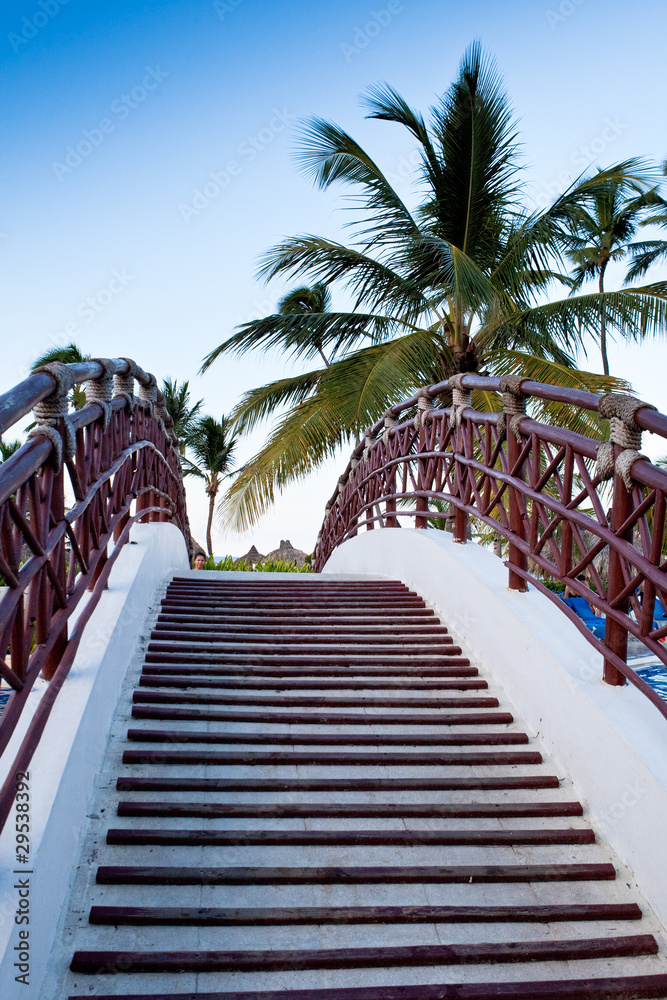 Fototapeta Schody mostu pod palmowym błękitnym niebem