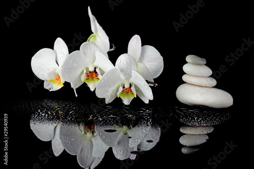 Fototapeta Naklejka Na Ścianę i Meble -  Spa composition of white orchid with stone pyramid