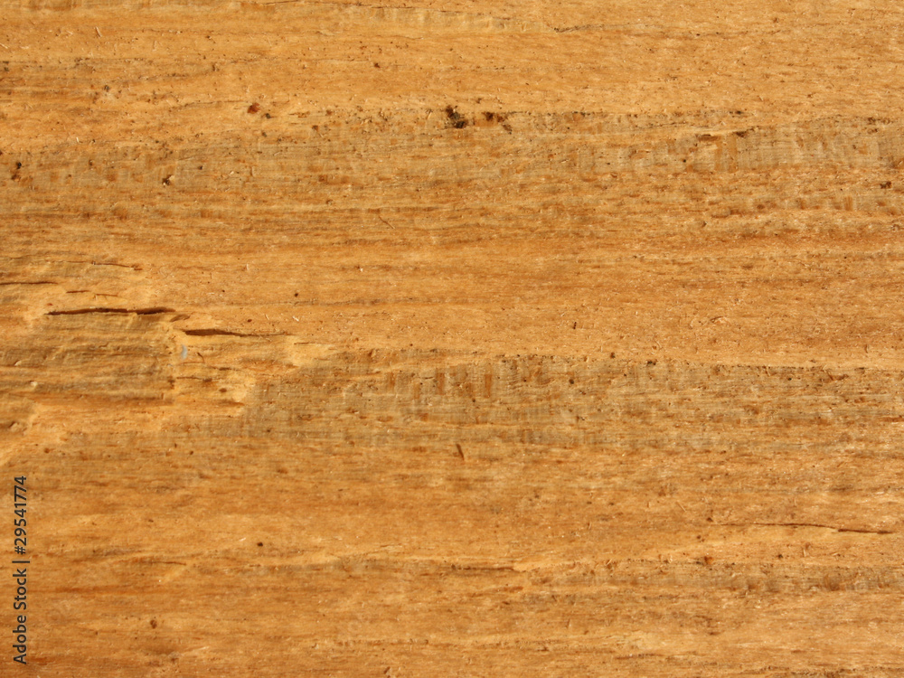 teak holz teak holz
