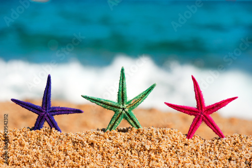 Colorful starfishes