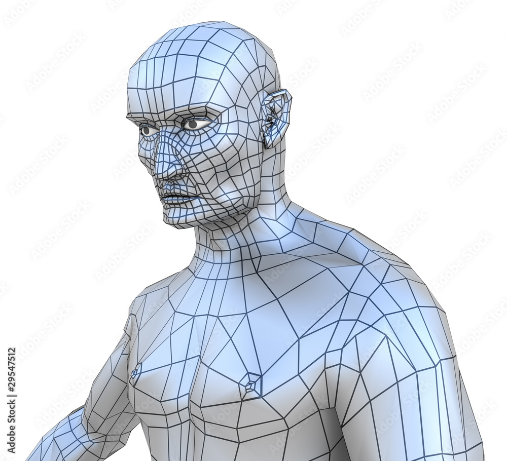 Human male mesh torso with head isolated on white Human male mesh torso with head isolated on white