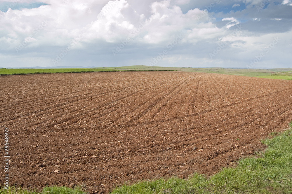 Campo arado Campo arado