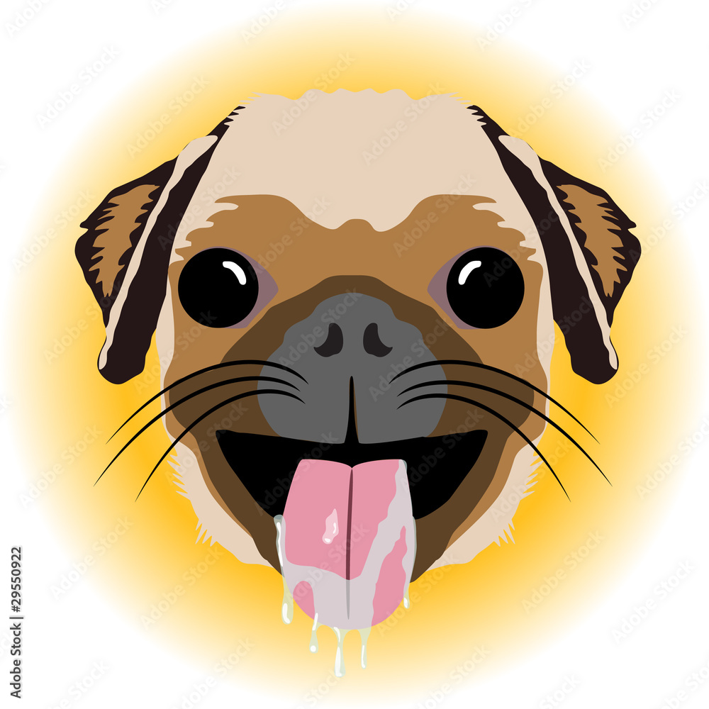 Obraz premium Sloppy kiss cheeky puppy