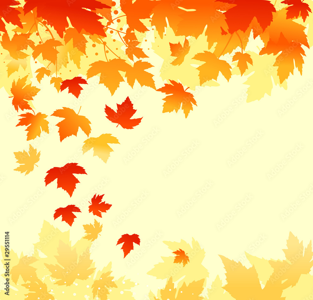 Fototapeta premium Autumn leaves background