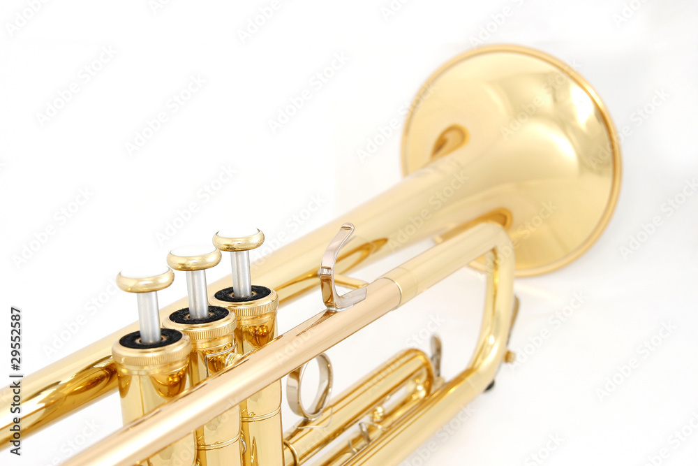 Naklejka premium golden trumpet colseup