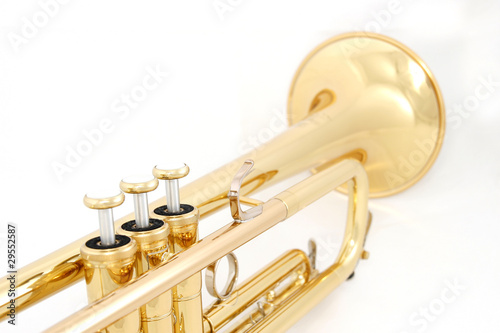golden trumpet colseup photo