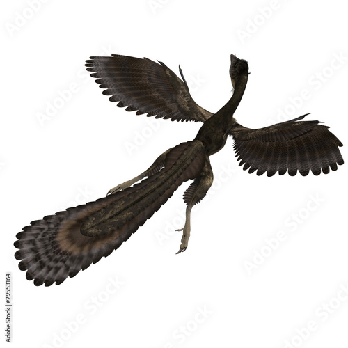 Dinosaur Archaeopteryx. 3D rendering with clipping path and photo