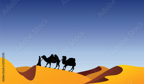 vector camels and bedouin in desert