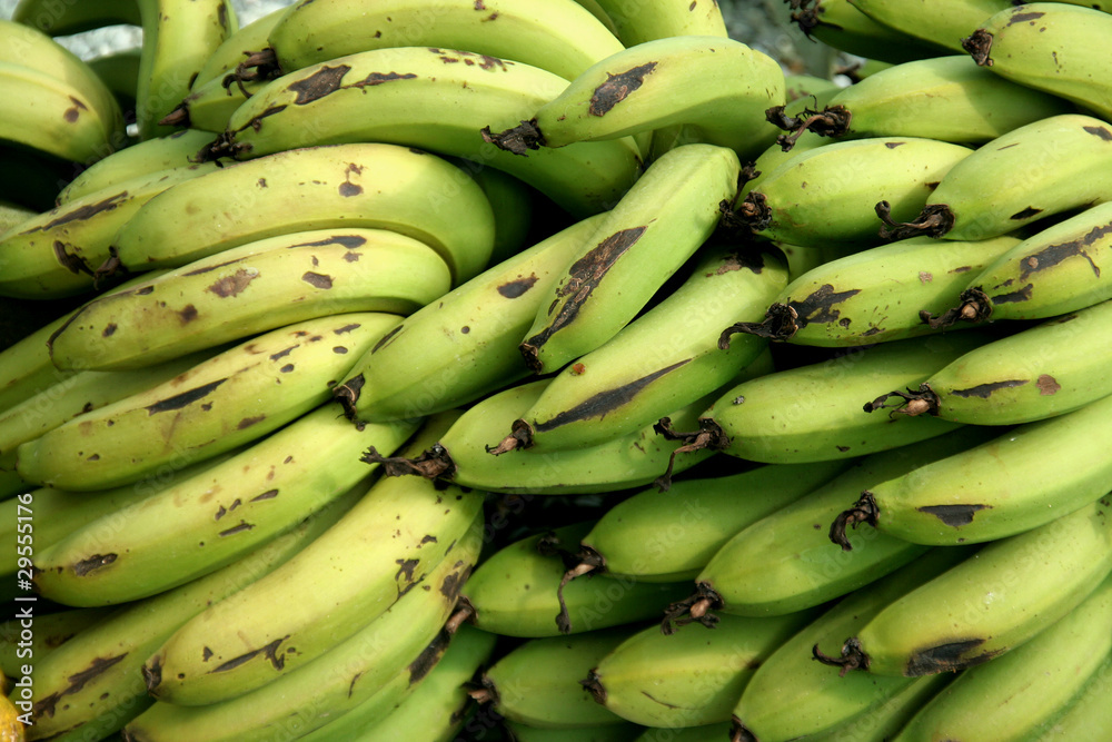 Banana Crop