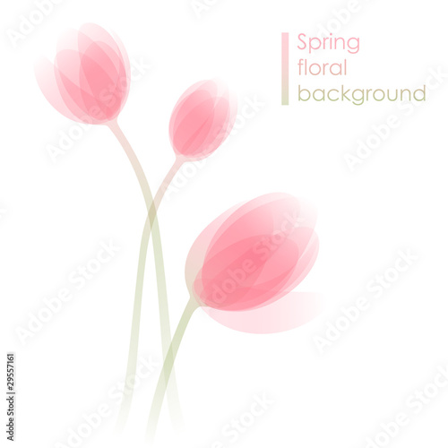 Tulip flowers. Spring background