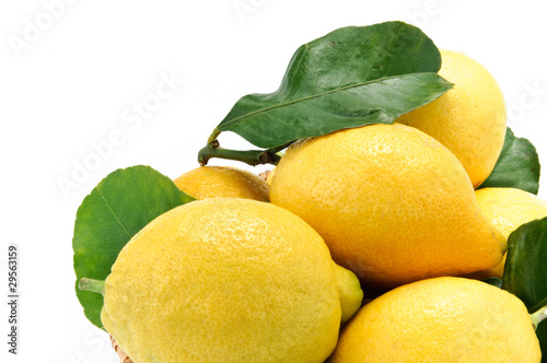 Limoni photo