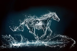 water horse 3