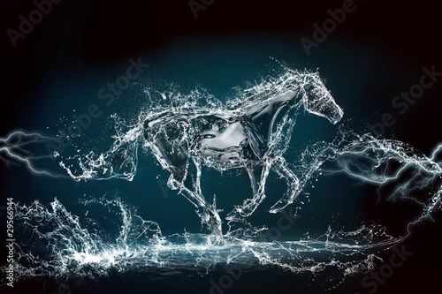 horse water storm