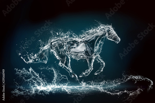 Obraz na płótnie water horse 2 w salonie